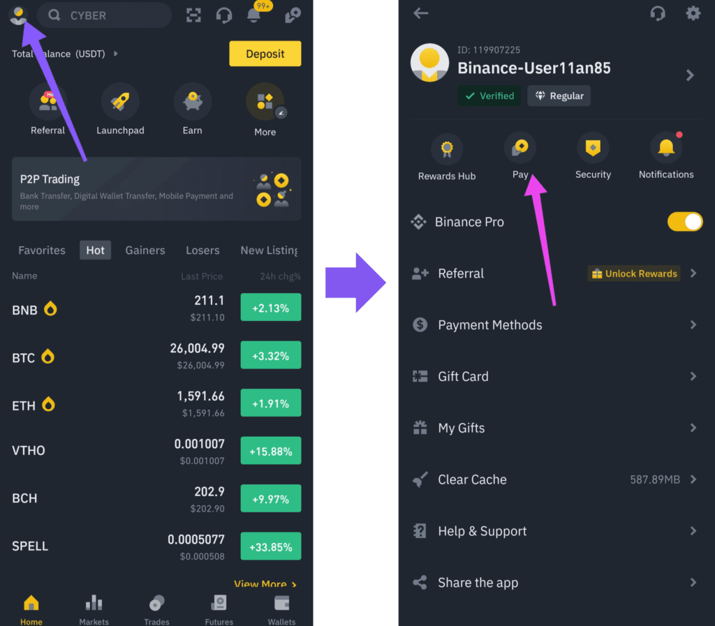 Binance pay