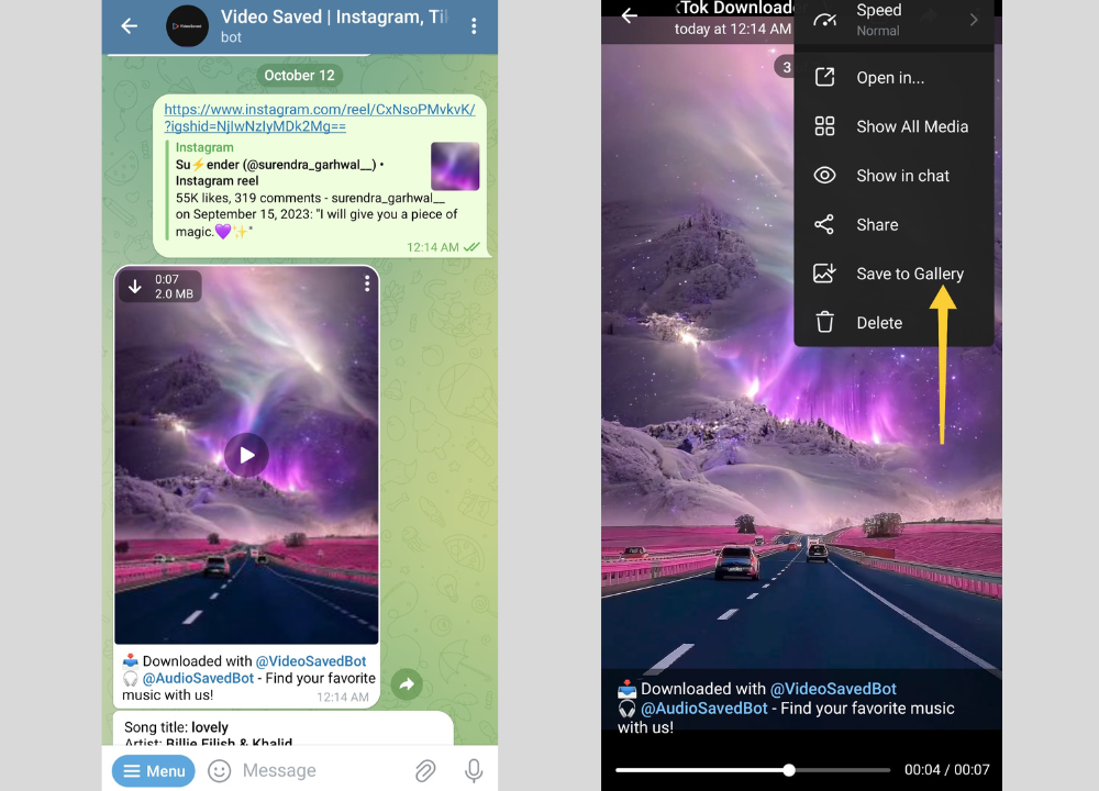 download Instagram reel by telegram bot